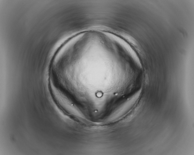 X0000114491430200911091039