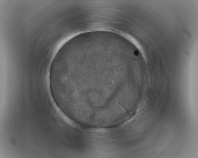 X0000114491431200911091039