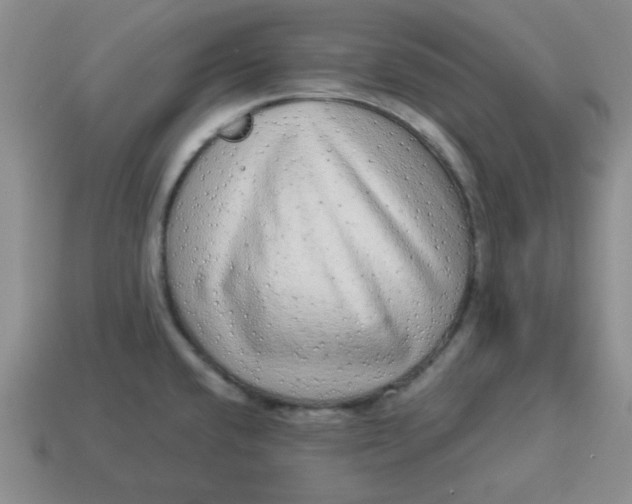 X0000114491432200911091039