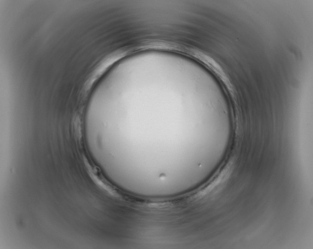 X0000114491433200911091039