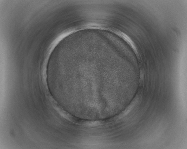 X0000114491435200911091039