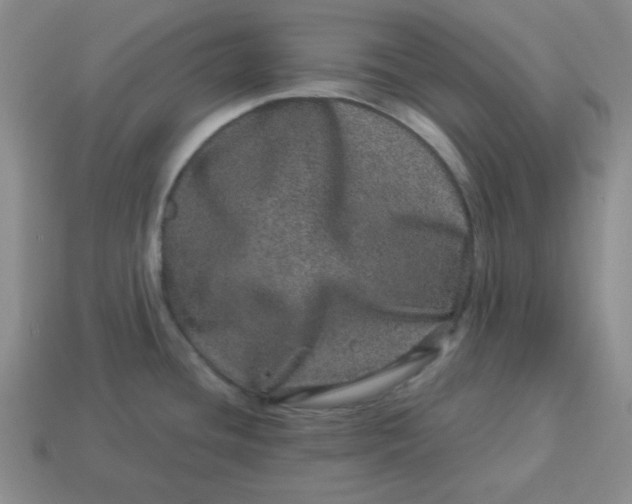 X0000114491436200911091039