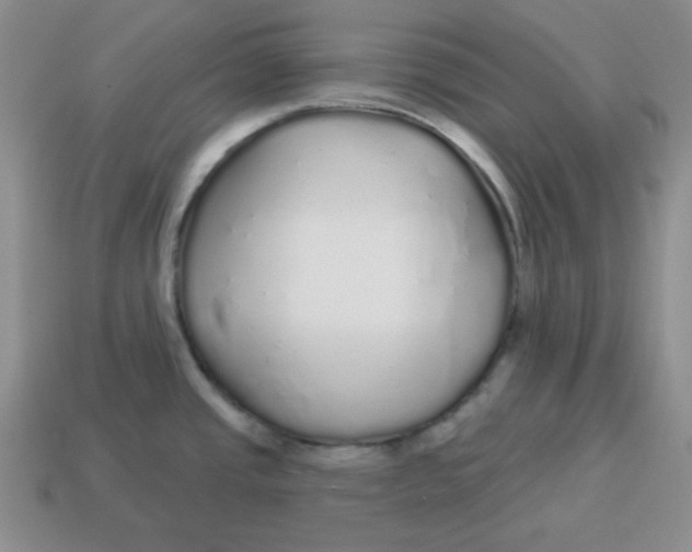X0000114491437200911091039