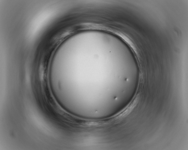 X0000114491438200911091039