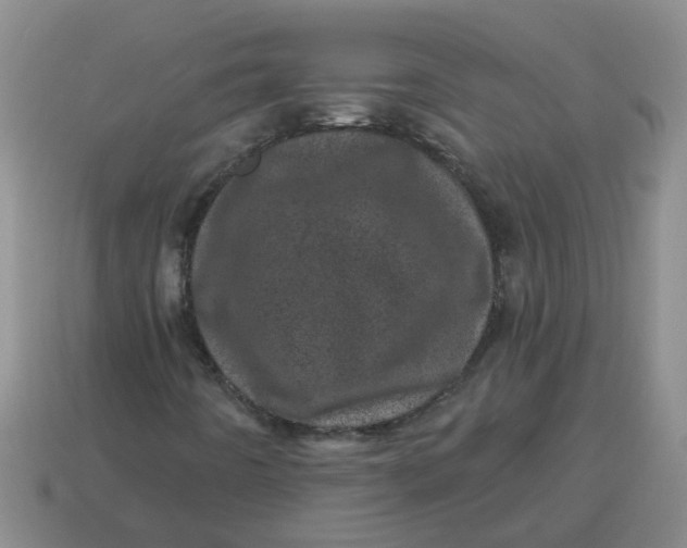 X0000114491442200911091038