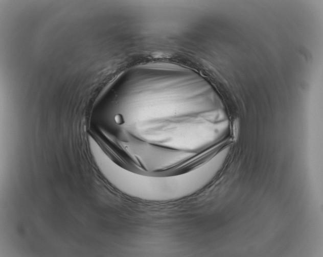 X0000114491443200911091038