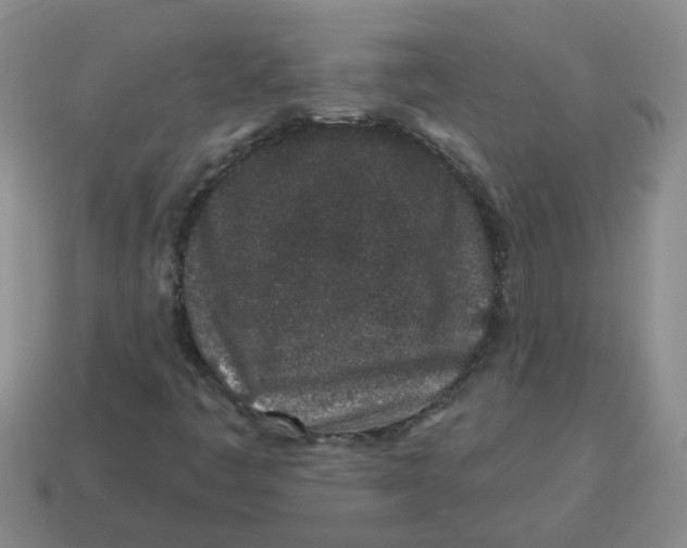 X0000114491445200911091038