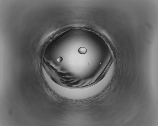 X0000114491448200911091038