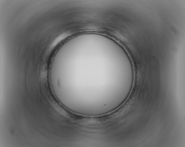 X0000114491450200911091038