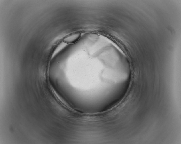 X0000114491451200911091038