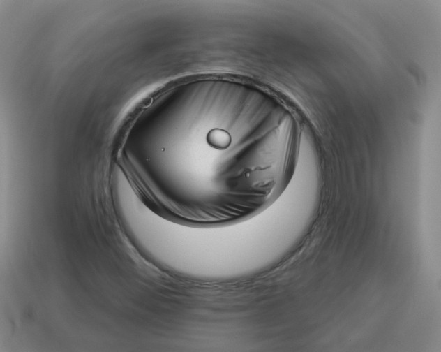 X0000114491452200911091038