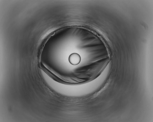 X0000114491453200911091038