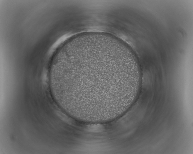 X0000114491454200911091038
