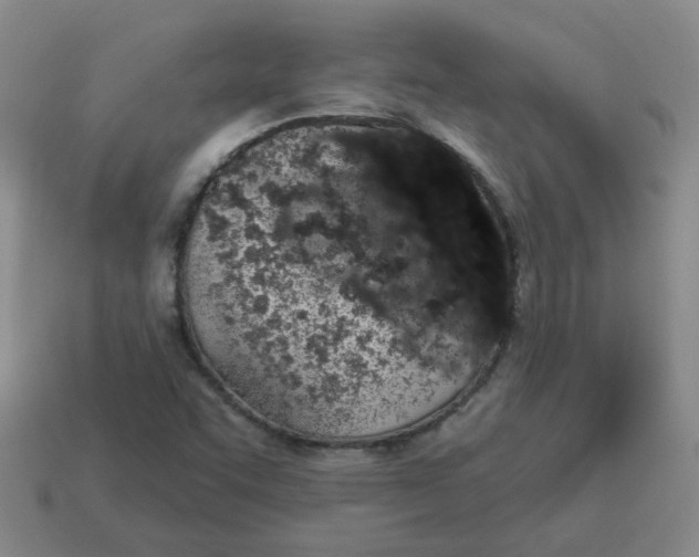 X0000114491455200911091038