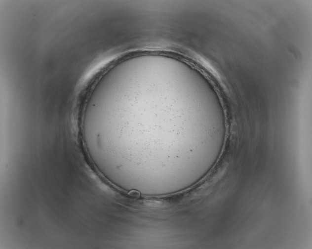 X0000114491456200911091038