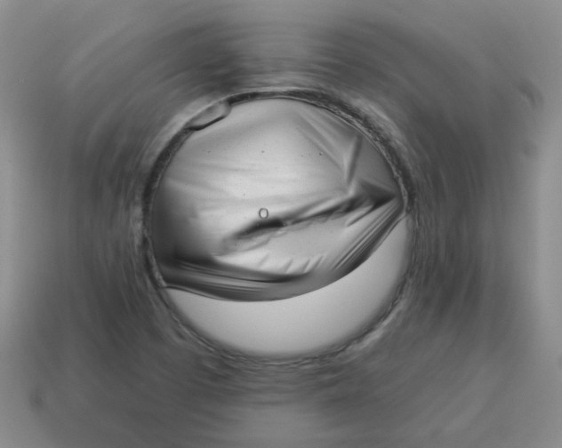 X0000114491457200911091038