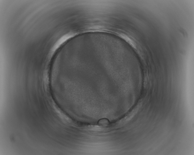 X0000114491458200911091038