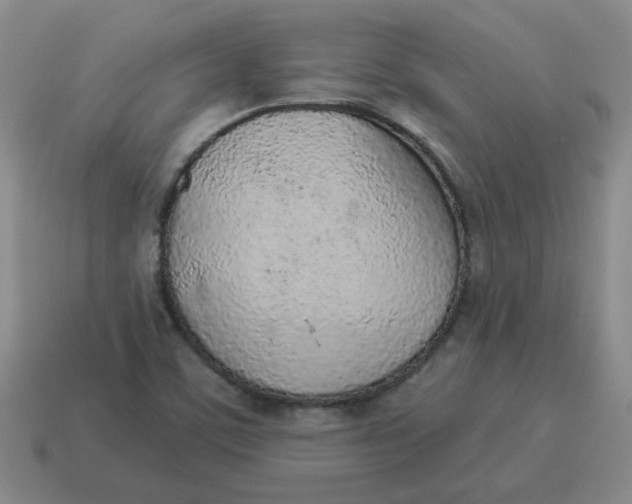X0000114491459200911091038