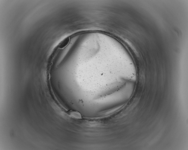 X0000114491460200911091038
