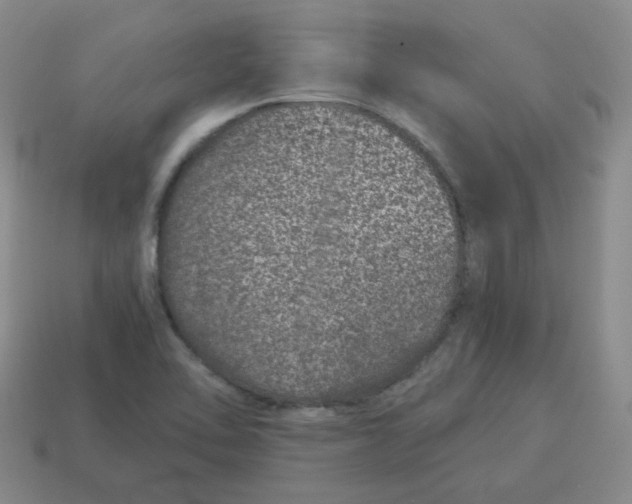 X0000114491462200911091038