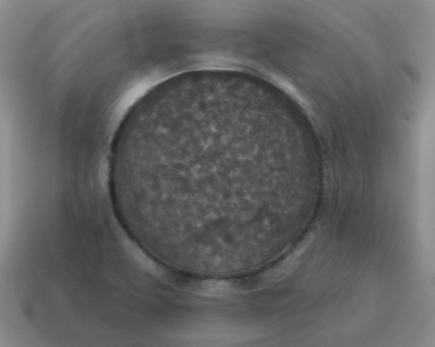 X0000114491463200911091038