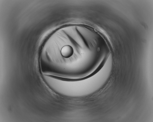 X0000114491464200911091038