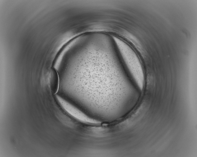 X0000114491465200911091038