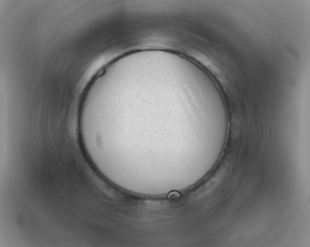 X0000114491469200911091038