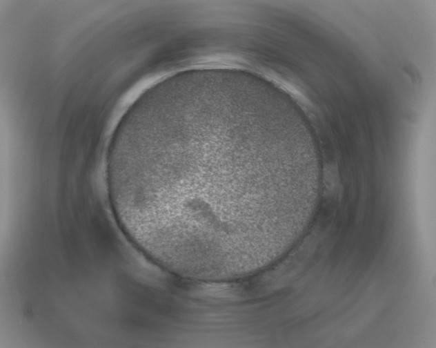 X0000114491470200911091038