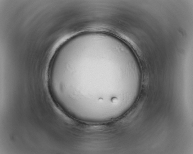 X0000114491471200911091038