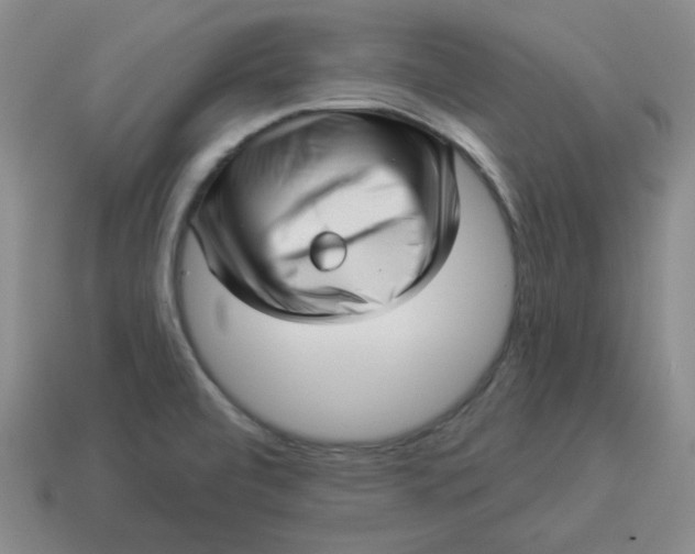 X0000114491472200911091038