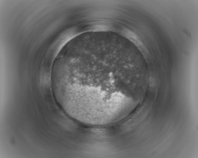 X0000114491473200911091038