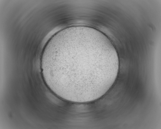 X0000114491474200911091038