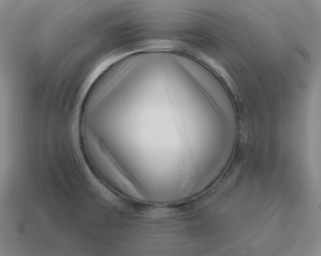 X0000114491475200911091038