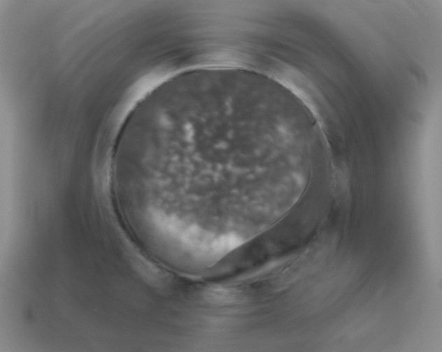X0000114491477200911091038