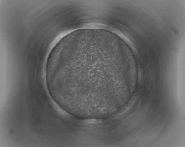 X0000114491478200911091038