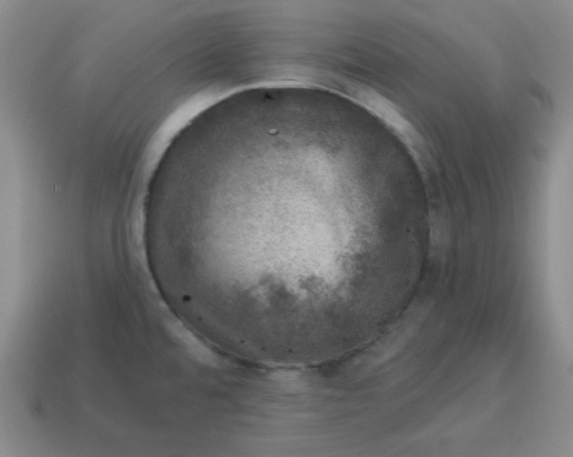 X0000114491480200911091038