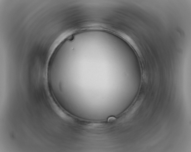 X0000114491482200911091038