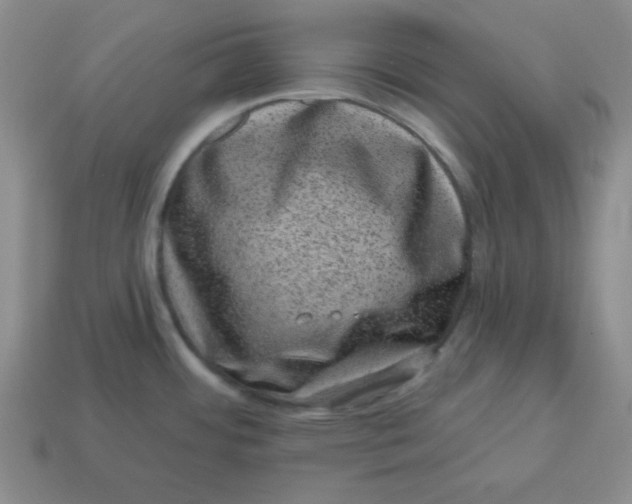 X0000114491484200911091038