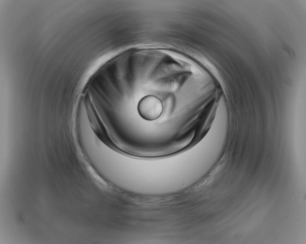 X0000114491485200911091038