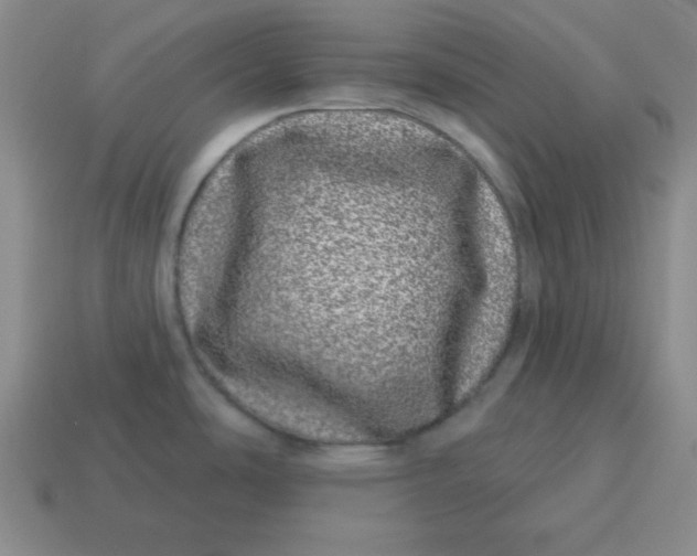 X0000114491486200911091038