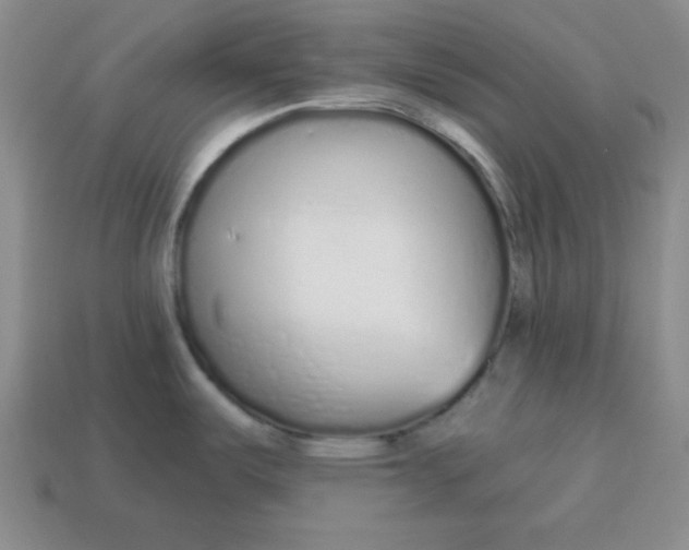 X0000114491487200911091038