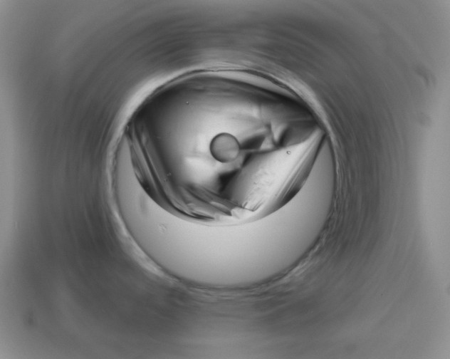 X0000114491488200911091038