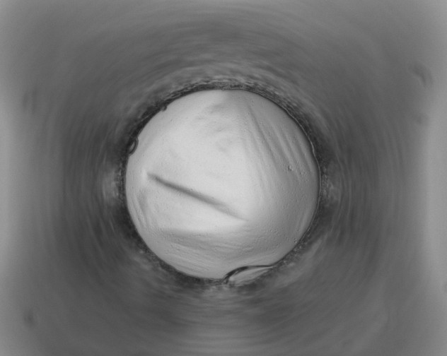 X0000114491490200911091037