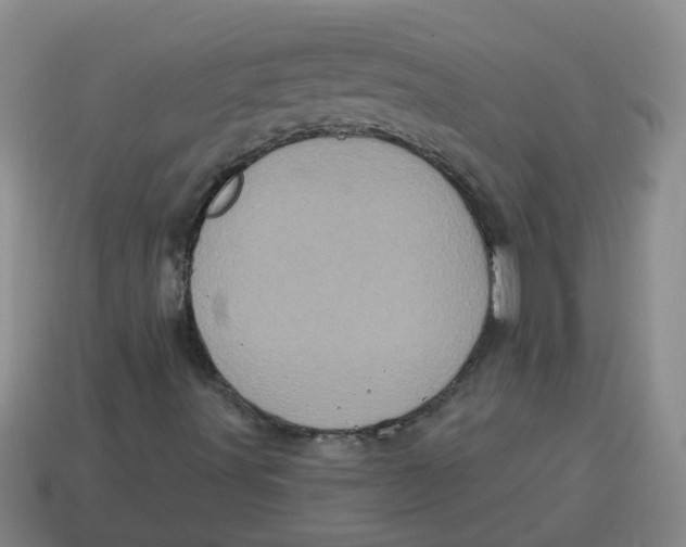 X0000114491491200911091037