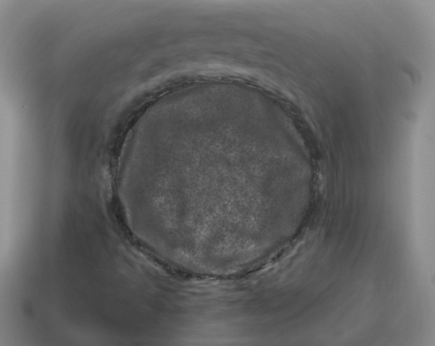 X0000114491493200911091037