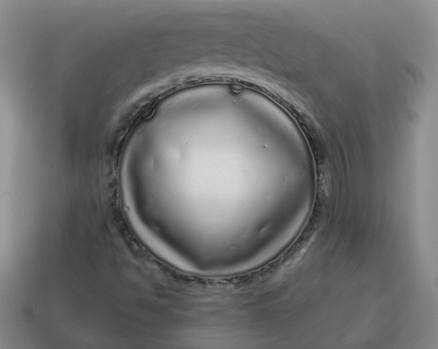 X0000114491494200911091037