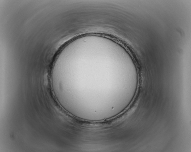 X0000114491497200911091037