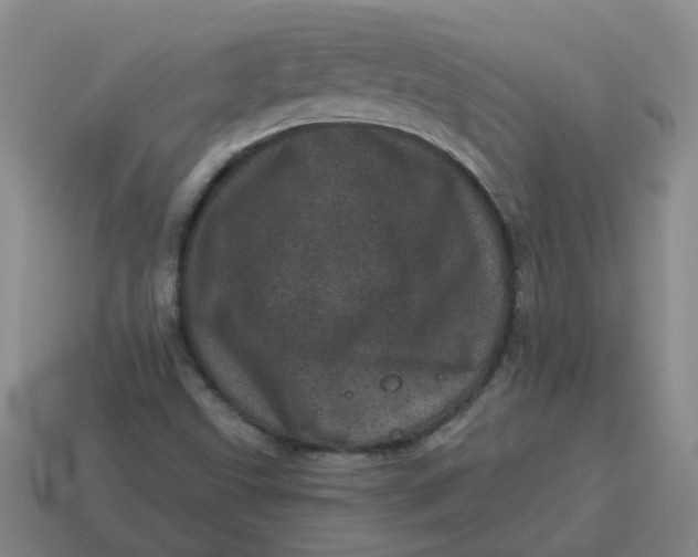 X0000114491499200911091037
