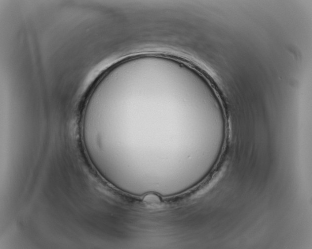 X0000114491501200911091037